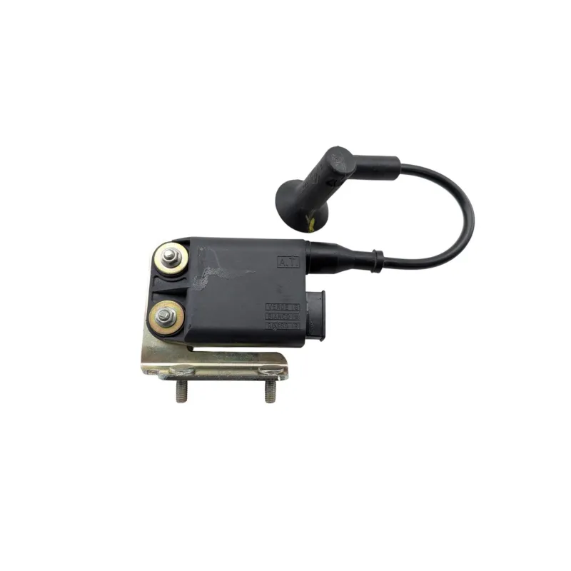 Boitier cdi PIAGGIO PRIMAVERA 50 2013 - 2017
