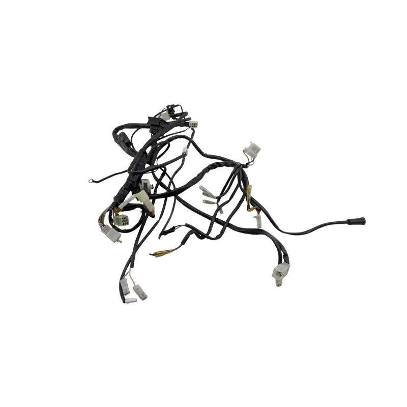 Faisceau electrique RIEJU MRT 50 PRO 2022 - 2024