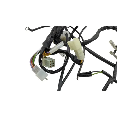 Faisceau electrique RIEJU MRT 50 PRO 2022 - 2024