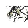 Faisceau electrique RIEJU MRT 50 PRO 2022 - 2024