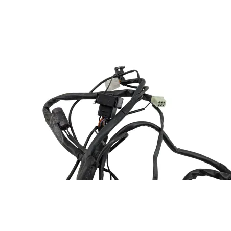 Faisceau electrique RIEJU MRT 50 PRO 2022 - 2024