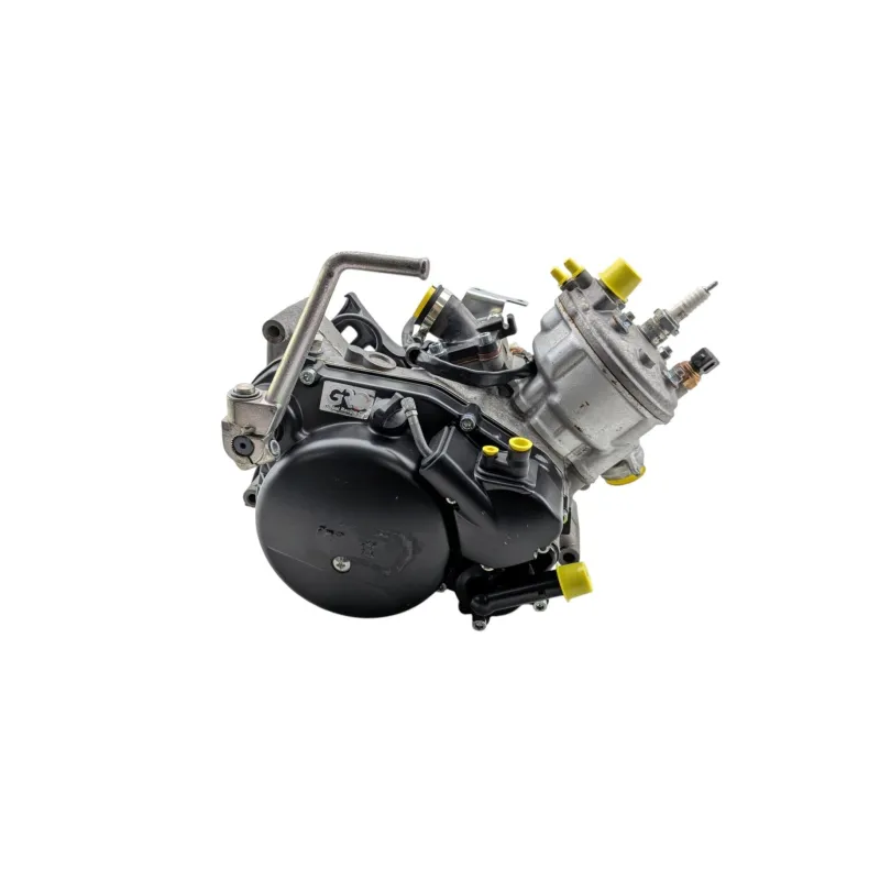 Moteur RIEJU MRT 50 PRO 2022 - 2024