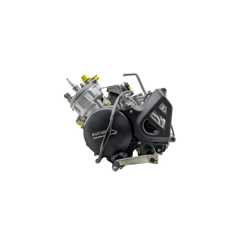 Moteur RIEJU MRT 50 PRO 2022 - 2024