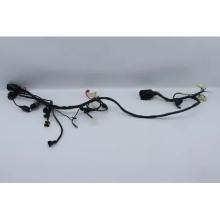 Faisceau electrique TIANYING UB 50 2019 - 2020