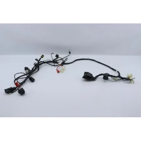 Faisceau electrique TIANYING UB 50 2019 - 2020