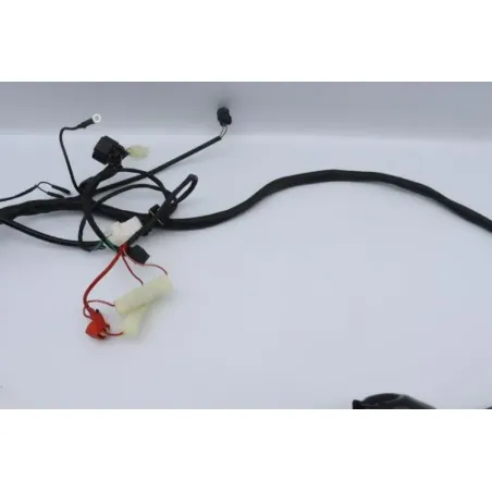 Faisceau electrique TIANYING UB 50 2019 - 2020