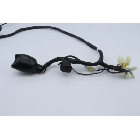 Faisceau electrique TIANYING UB 50 2019 - 2020