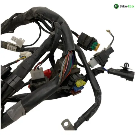 Faisceau electrique APRILIA TUONO 125 2021-2024