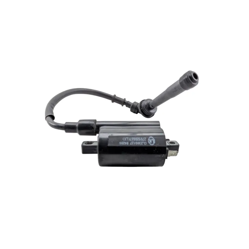 Bobine allumage VOGE R 125 2024 - 2026