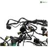 Faisceau electrique APRILIA TUONO 125 2021-2024