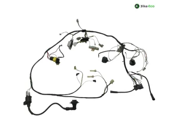 Faisceau electrique PEUGEOT VIVACITY 2 100 2004-2005 2T