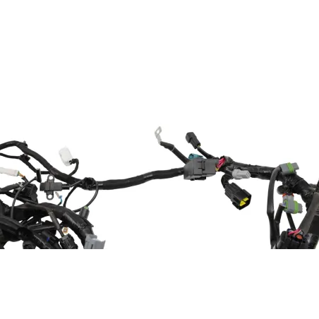 Faisceau electrique KOVE X 800 PRO ABS 2025 - 2026