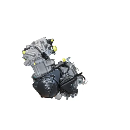 Moteur BETA RR 125 T 2021 - 2024