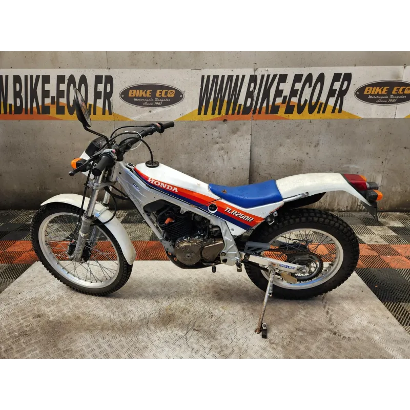 HONDA TLR 250