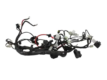 Faisceau electrique BETA RR 125 T 2021 - 2024