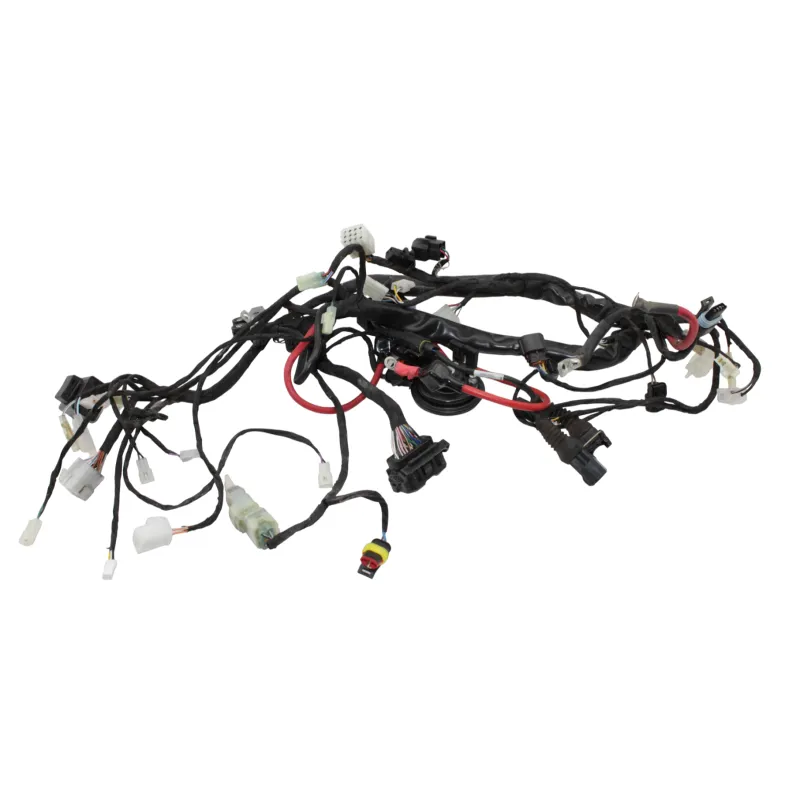 Faisceau electrique BETA RR 125 T 2021 - 2024