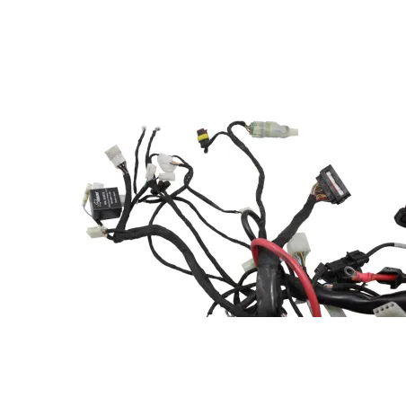 Faisceau electrique BETA RR 125 T 2021 - 2024