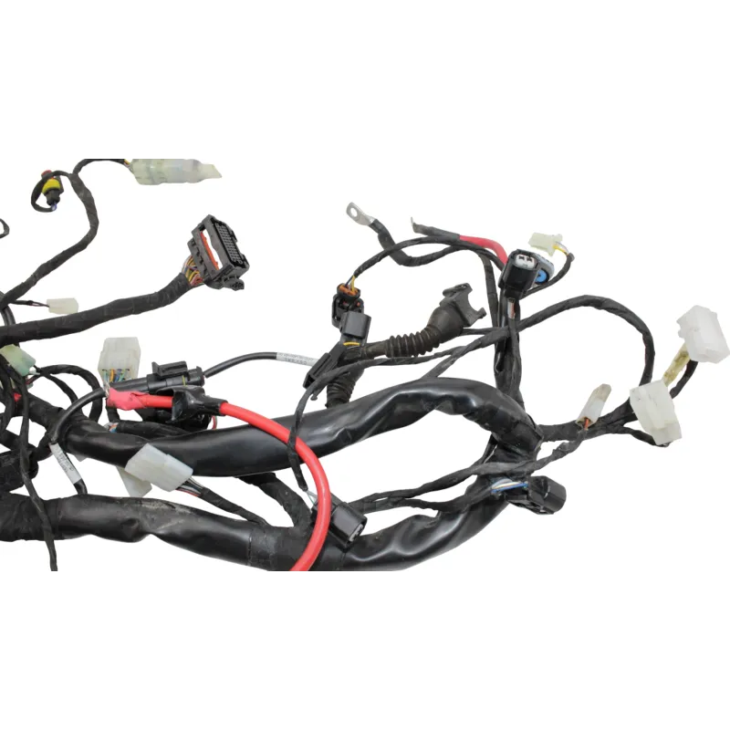 Faisceau electrique BETA RR 125 T 2021 - 2024