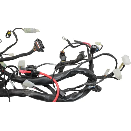 Faisceau electrique BETA RR 125 T 2021 - 2024