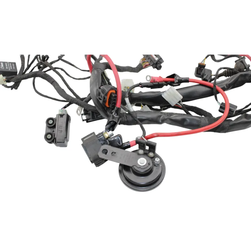 Faisceau electrique BETA RR 125 T 2021 - 2024