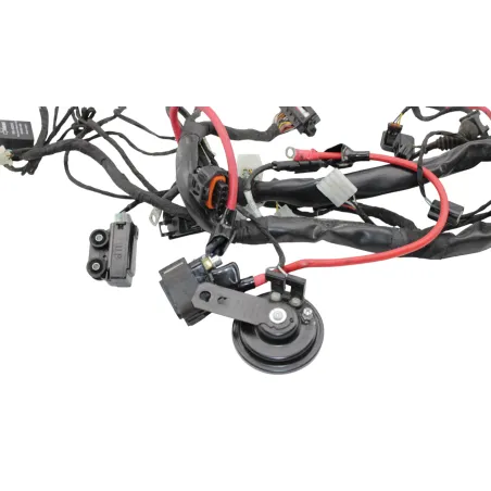 Faisceau electrique BETA RR 125 T 2021 - 2024