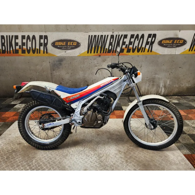 HONDA TLR 250