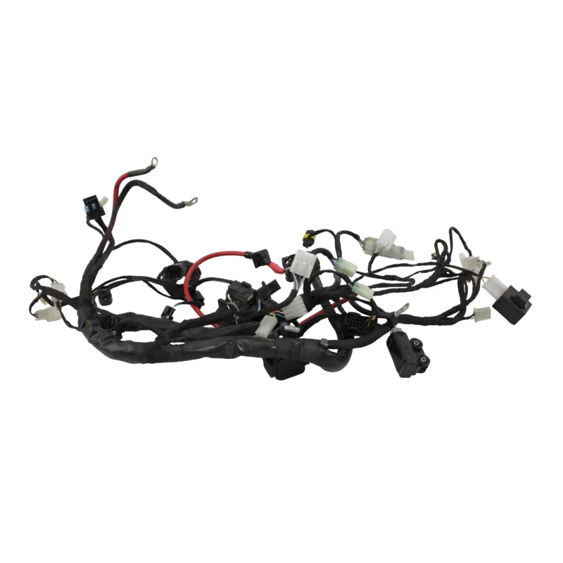 Faisceau electrique BETA RR 125 T 2021 - 2024