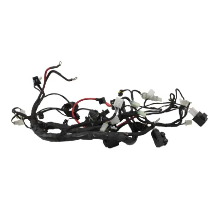 Faisceau electrique BETA RR 125 T 2021 - 2024