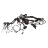 Faisceau electrique BETA RR 125 T 2021 - 2024 Faisceau electrique BETA RR 125 T 2021 - 2024