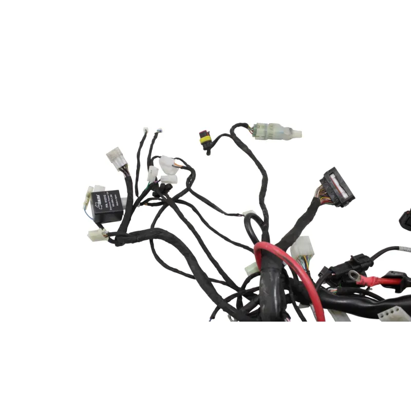 Faisceau electrique BETA RR 125 T 2021 - 2024