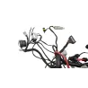 Faisceau electrique BETA RR 125 T 2021 - 2024 Faisceau electrique BETA RR 125 T 2021 - 2024
