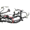 Faisceau electrique BETA RR 125 T 2021 - 2024 Faisceau electrique BETA RR 125 T 2021 - 2024
