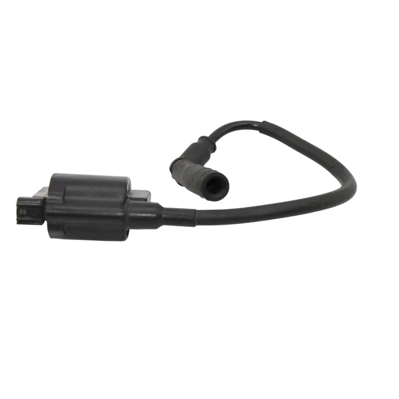 Bobine allumage BETA RR 125 T 2021 - 2024