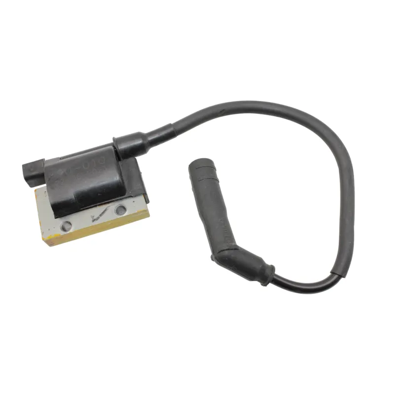 Bobine allumage BETA RR 125 T 2021 - 2024