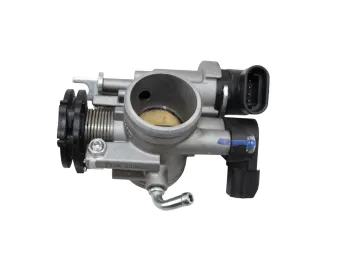 Corps papillon injection BETA RR 125 T 2021 - 2024