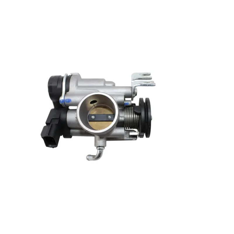 Corps papillon injection BETA RR 125 T 2021 - 2024