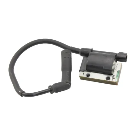 Bobine allumage BETA RR 125 T 2021 - 2024