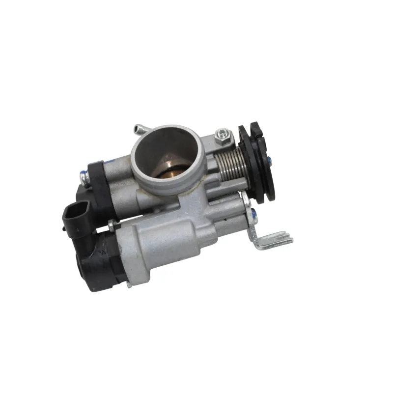 Corps papillon injection BETA RR 125 T 2021 - 2024
