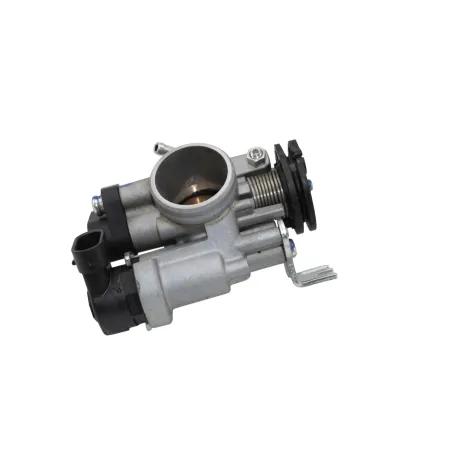Corps papillon injection BETA RR 125 T 2021 - 2024