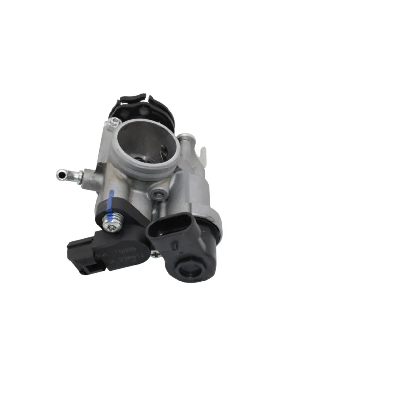 Corps papillon injection BETA RR 125 T 2021 - 2024