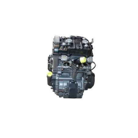 Moteur KTM ADVENTURE 890 2021 - 2022