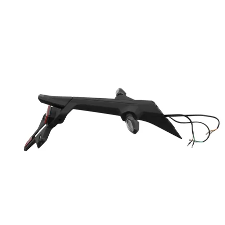 Support de plaque et eclairage CF MOTO SR 450 REPLICA 2025 - 2025