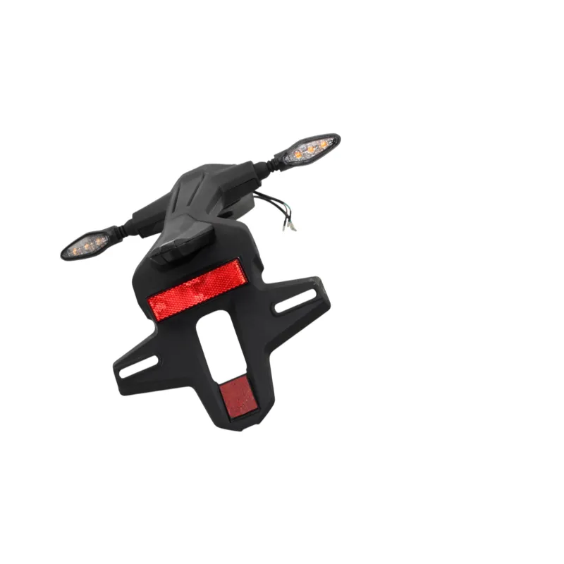Support de plaque et eclairage CF MOTO SR 450 REPLICA 2025 - 2025