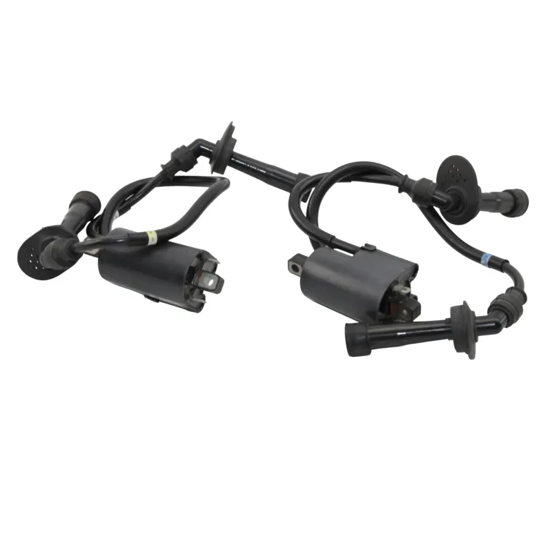 Bobine allumage SUZUKI GSF 1200 BANDIT S 2000 - 2005