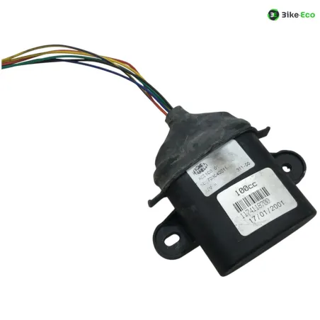 Faisceau electrique PEUGEOT VIVACITY 2 100 2004-2005 2T