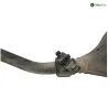 Ligne d'echappement PIAGGIO VESPA GTS 125 IE 2016-2018 E4