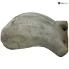 Cache carenage centrale sabot APRILIA PEGASO 3 650 1997-2000