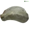 Cache carenage centrale sabot APRILIA PEGASO 3 650 1997-2000