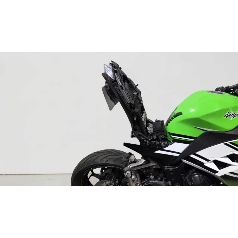 KAWASAKI NINJA 300