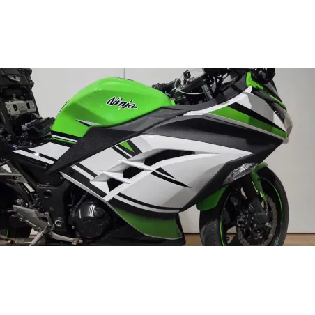KAWASAKI NINJA 300
